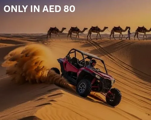 Camel Ride Desert Safari